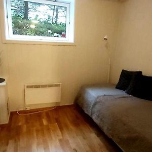 Aurora Rooms In Shared Hsuse Nr3 We Are Doing Northen Lights Trip, Reaindear Trip And Sommaroy Fjord Trips